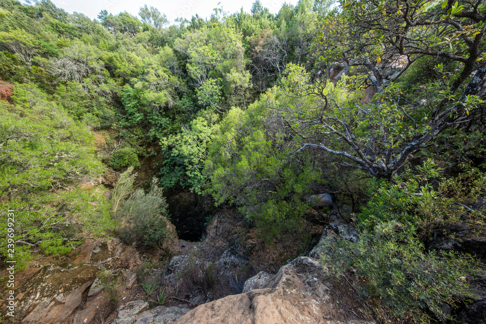 Golgo Baunei - Ogliastra - Sardegna - Italia