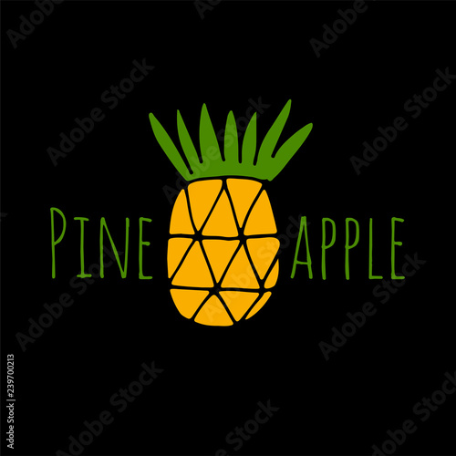 Pineapple, sketch for your design