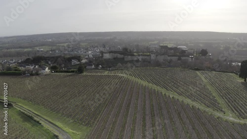 Panning aerial/ drone footage of vineyards near to Chinon, Loire Valley, France. photo