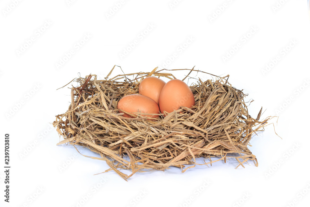 eggs organic fresh in straw hay on white background. eggs organic fresh in straw hay on white background.