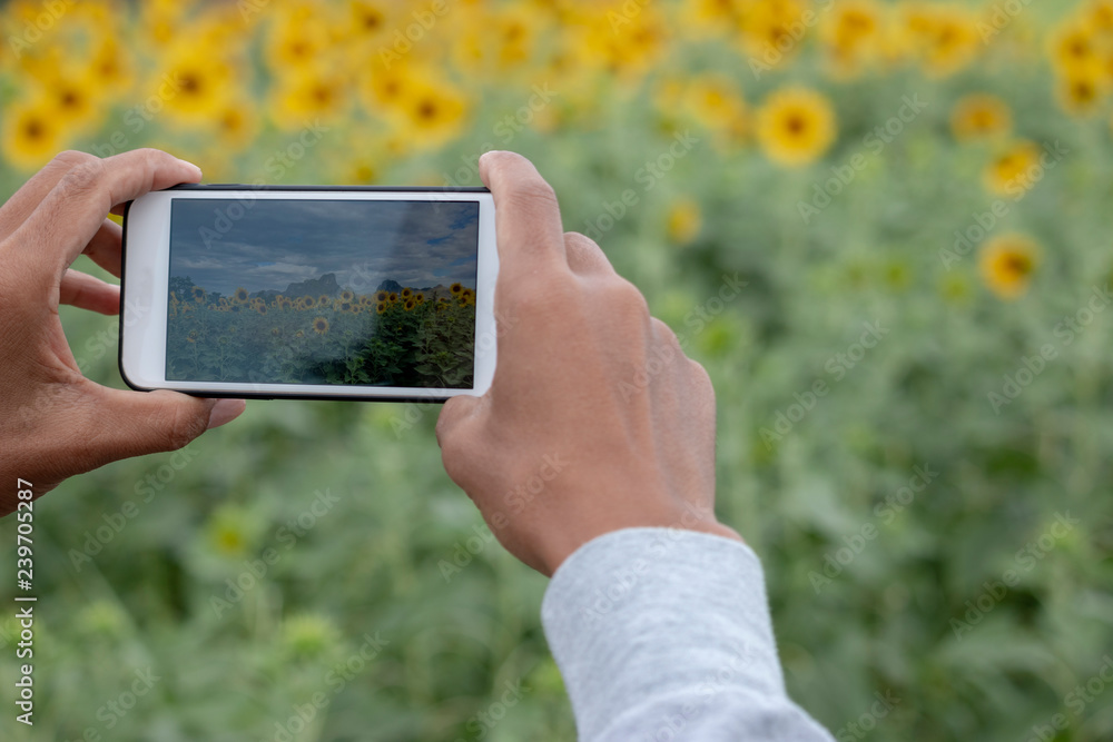 hand holding mobile phone take picture hand holding mobile phone take picture