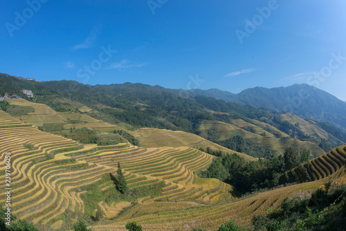 Longsheng ( Longji )  Rice Terraces Fields, Guangxi, China  © Hans Gert Broeder