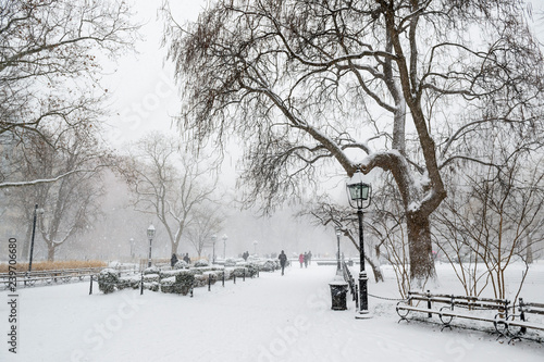 Scenic winter view of a snow-covered path in Central Park as a winter blizzard takes over New York City