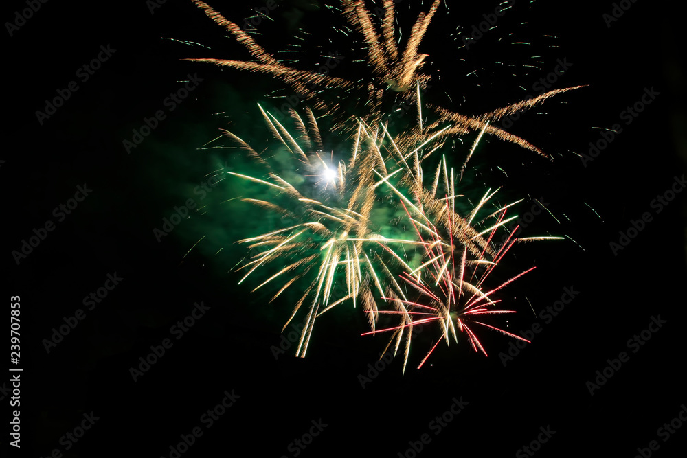 Obraz premium fireworks in the night sky