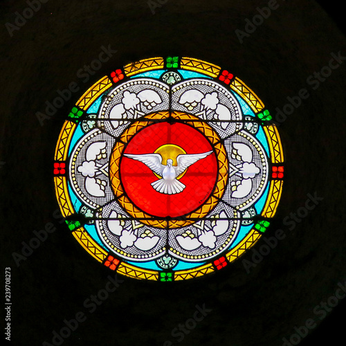 Holy Spirit- Dove - Stained Glass