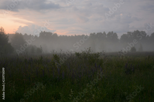 Landscape on the way to Kibelek source near Svetloyar Lake in Nizhny Novgorod region