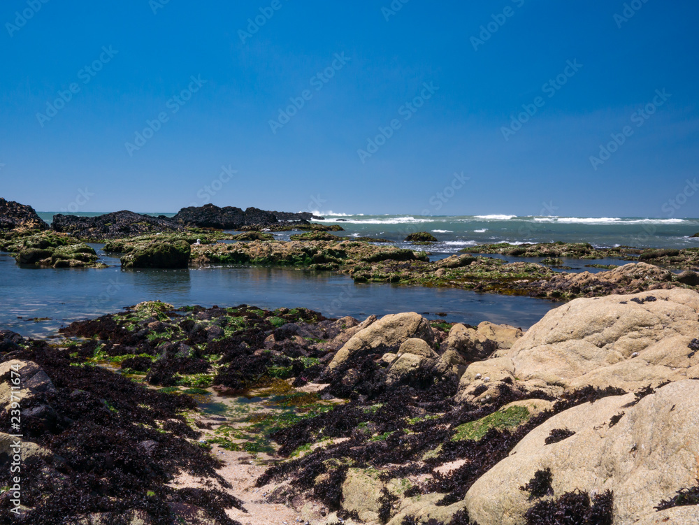 Obraz premium Sandstone rocks covered with seaweed forming rock pools on Atlantic coast of Portugal in summer