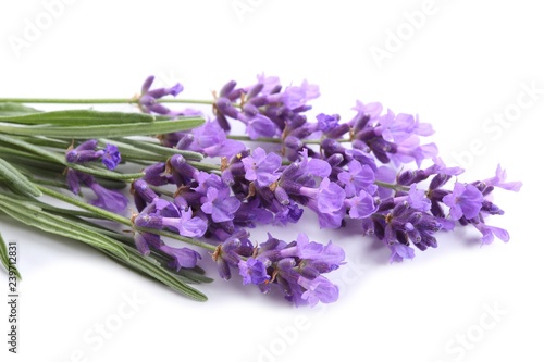 Fototapeta Naklejka Na Ścianę i Meble -  Bouquet of lavender.
