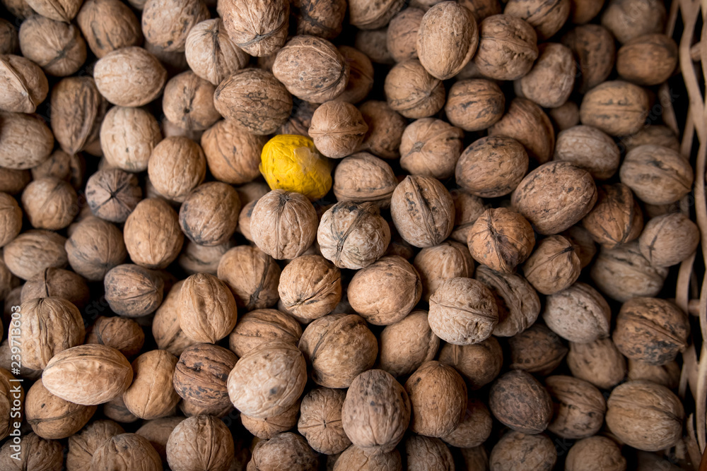 Walnuts with and without shells (filling the picture). Background of fresh walnuts. Walnuts with and without shells (filling the picture). Background of fresh walnuts.