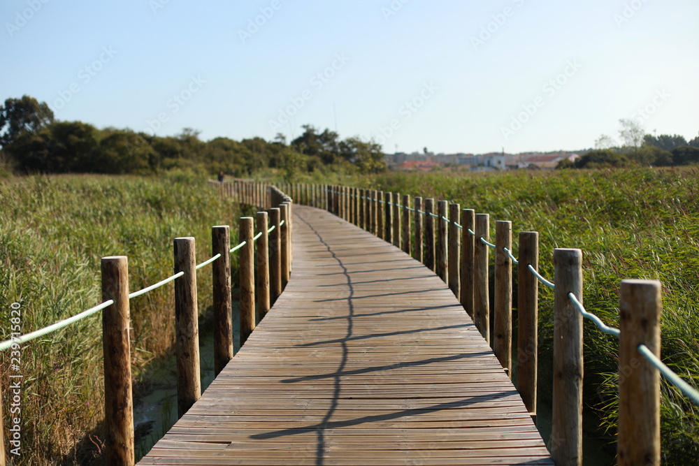 wooden walkway to the beach