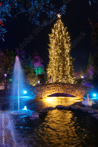 Christmas Tree on a city park in Katerini, Greece photo