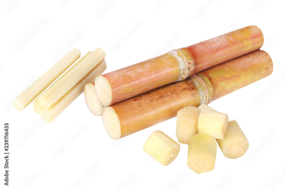 sugar cane, sugar cane isolated on white background and copy space, cane, sugarcane cut piece fresh, sugar cane for plantation, sugarcane fresh sugar cane, sugar cane isolated on white background and copy space, cane, sugarcane cut piece fresh, sugar cane for plantation, sugarcane fresh