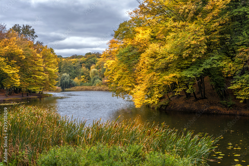 at a lake. beautiful nature. autumn colors. relaxation. at a lake. beautiful nature. autumn colors. relaxation.