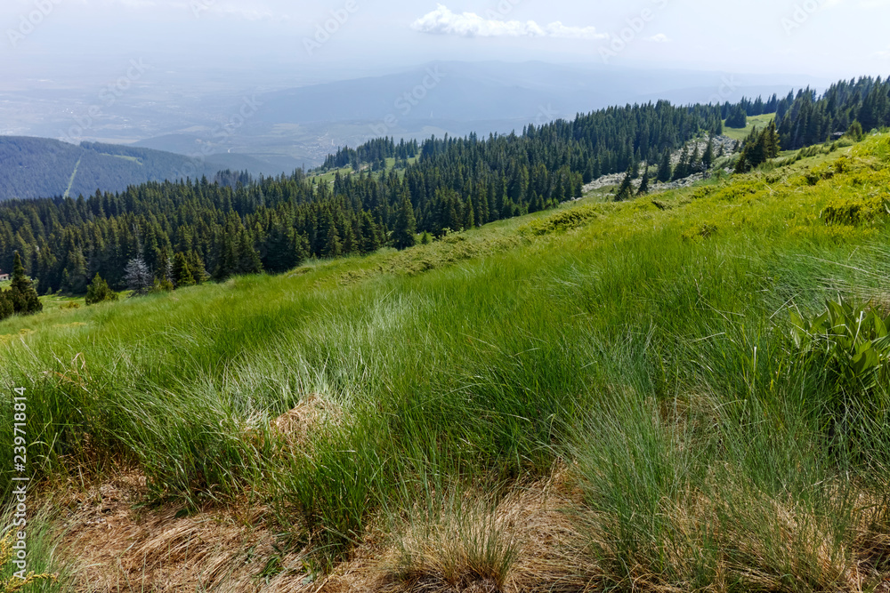 Landscape From Hiking trail for Cherni Vrah peak at Vitosha Mountain, Sofia City Region, Bulgaria
