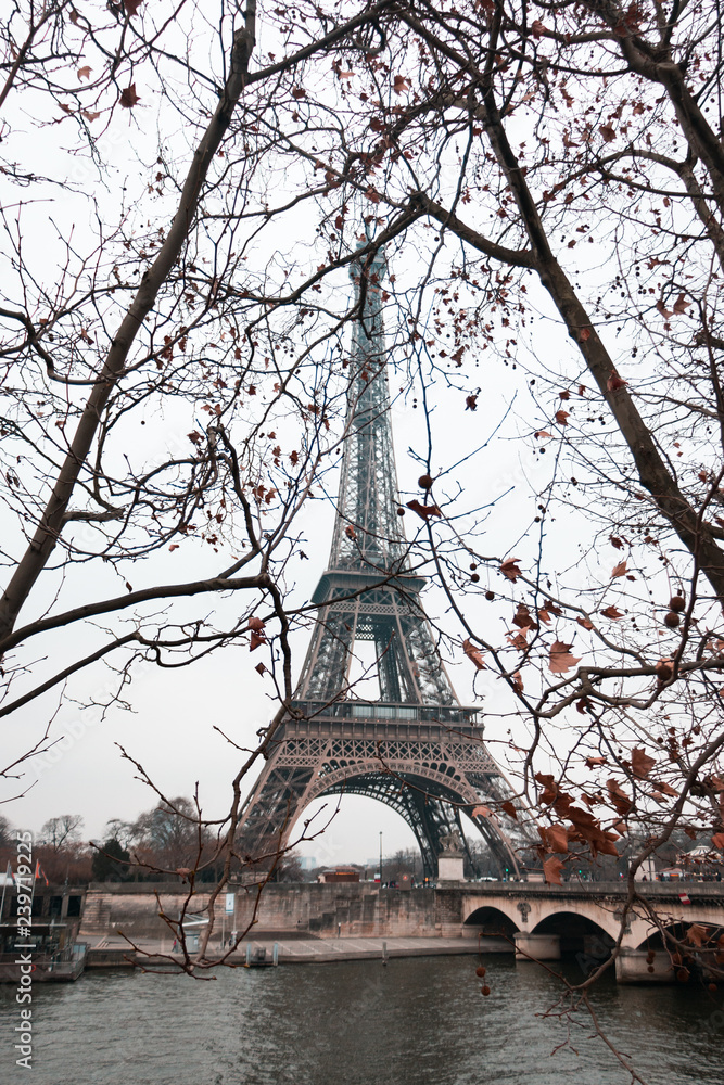 Eiffel Tower Paris in Fall