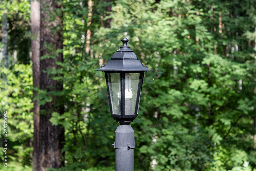 old style street lamp in the park