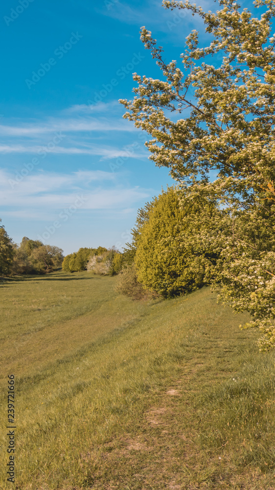 Smartphone HD wallpaper of beautiful view near Straubing - Danube - Bavaria - Germany