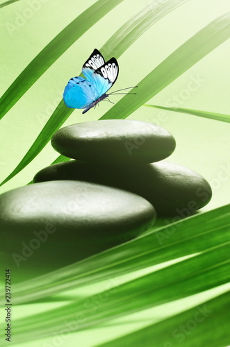 Butterfly  Balanced Stones. Palm Leaf. Zen and Spa Concept.