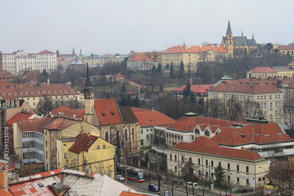 Obraz premium View to the street in the old center of Prague - the capital and largest city of the Czech Republic