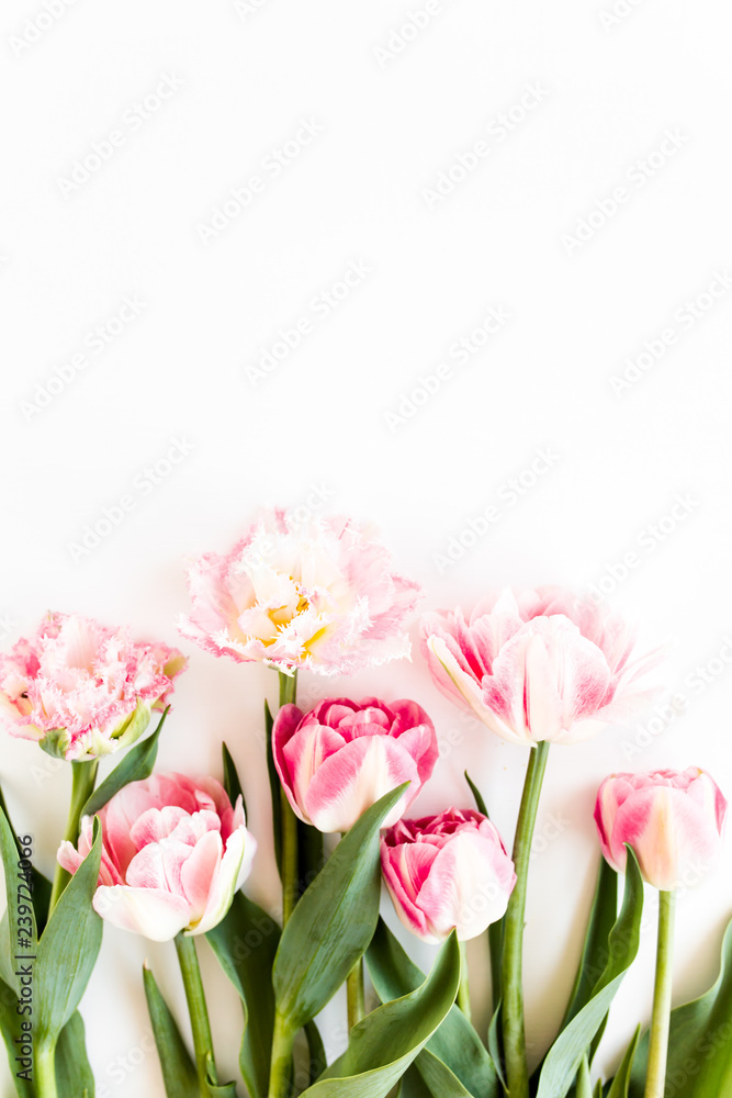 Pink tulips on white background. Minimal floral concept greeting card. Flat lay, top view. Pink tulips on white background. Minimal floral concept greeting card. Flat lay, top view.