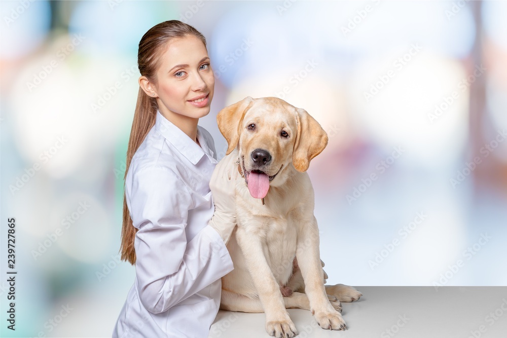 Beautiful young veterinarian with a dog on a white background