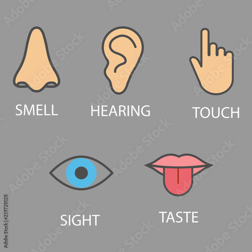 Human senses icon. Vector illustration, flat design.