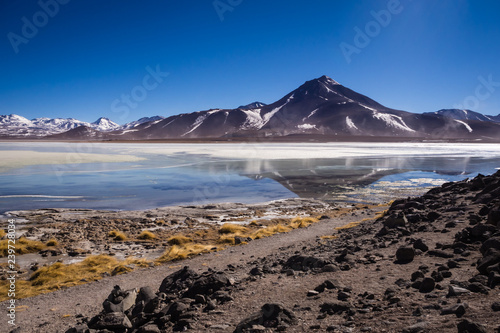 Laguna Blanca is a salt lake at the foot of the volcanos Licancabur and Juriques - Eduardo Avaroa Andean Fauna National Reserve, Bolivia photo