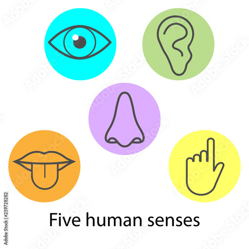 Human senses icon. Vector illustration, flat design.