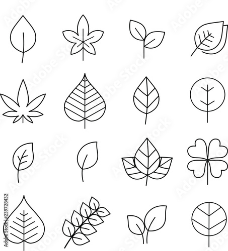 set of leaves