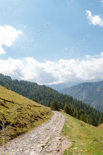 sentier dans les alpes