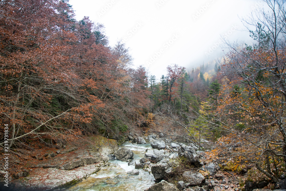 river in natural environment river in natural environment