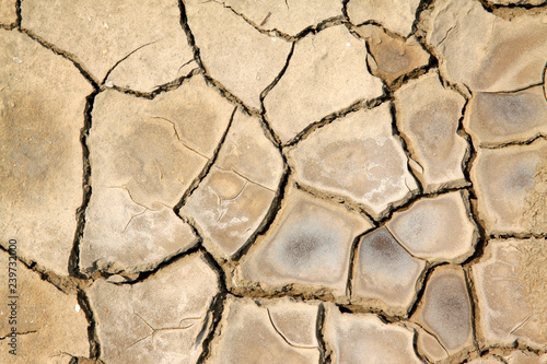 dry ground in the outdoors