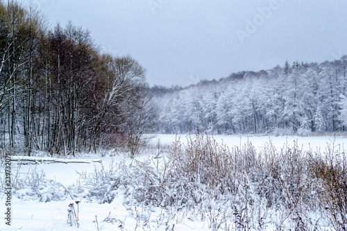 Wallpaper Mural Frozen lake in the forest, covered with snow, a log covered with snow lies in the lake, in the background trees covered with snow, you can see the sky, daytime, beautiful nature, winter in the forest Torontodigital.ca