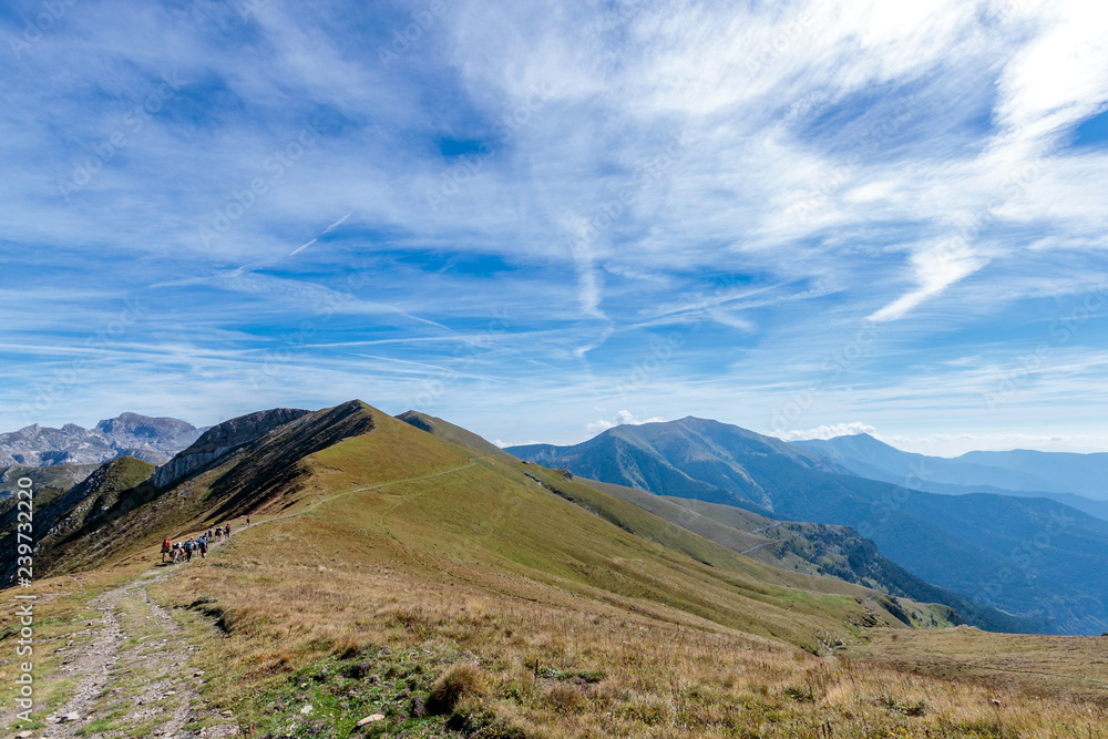 sentier dans les alpes sentier dans les alpes