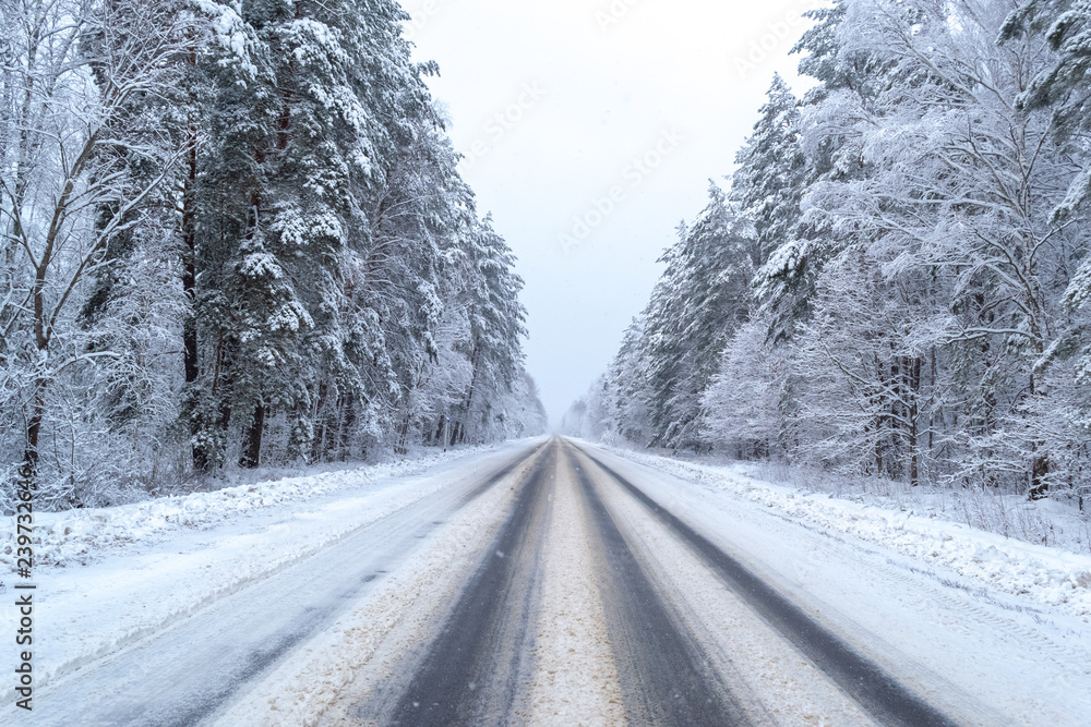 Fototapeta premium winter day in the forest, trees covered with snow, the sky is visible, snow-covered asphalt road goes deep into the forest