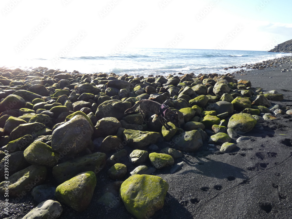 coast coast