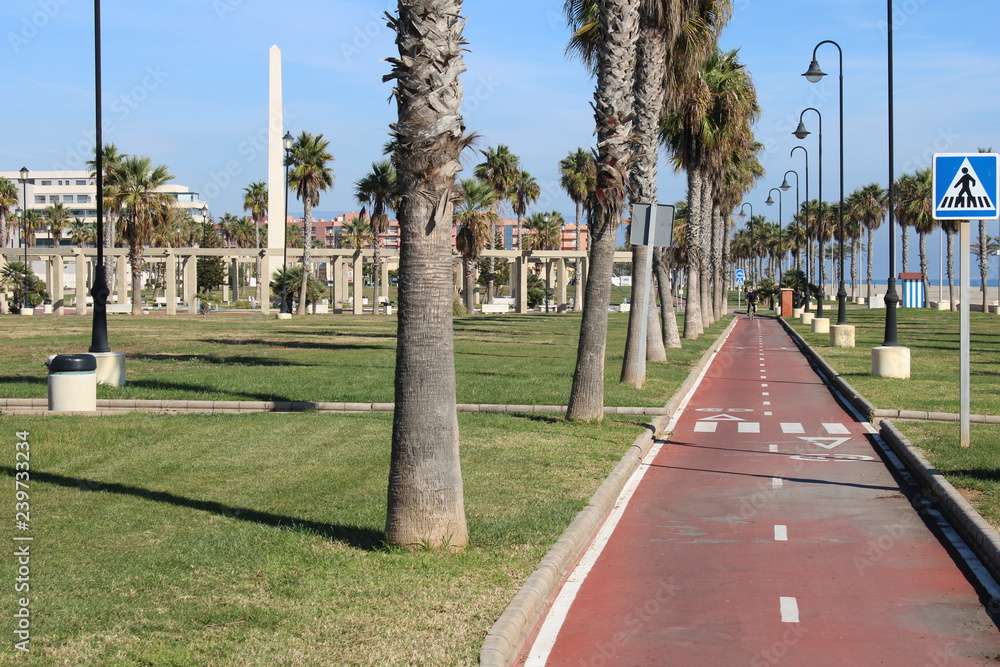 Fototapeta premium Boardwalk with green spaces