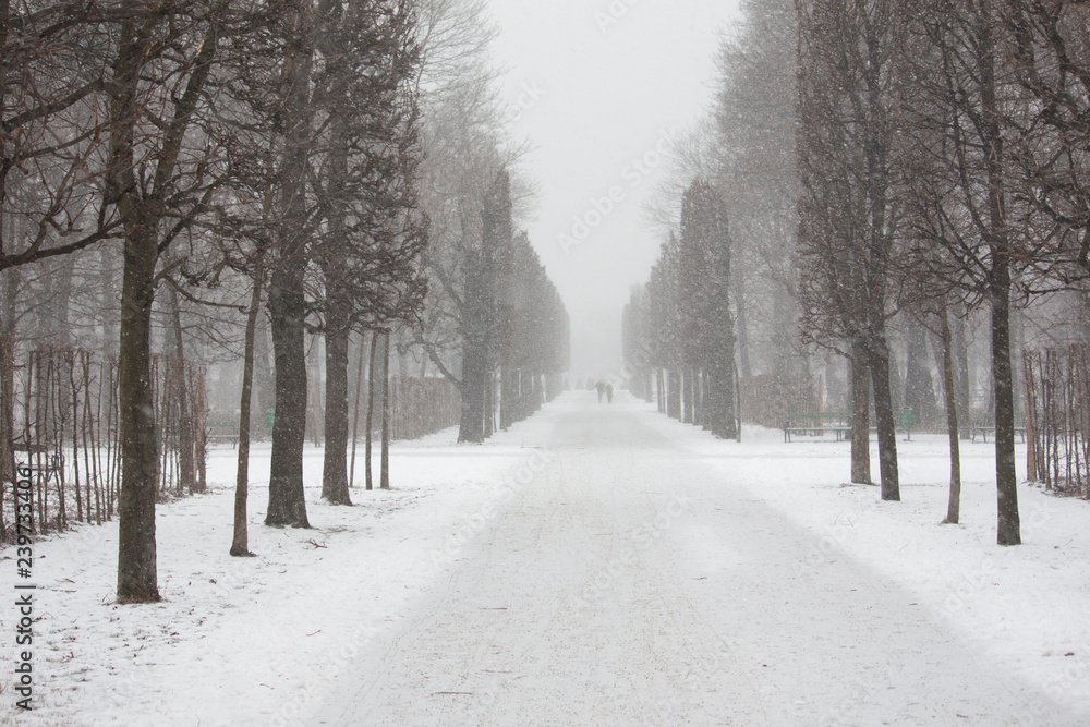 Spaziergänger in einsamer Allee in französischem Garten im Winter