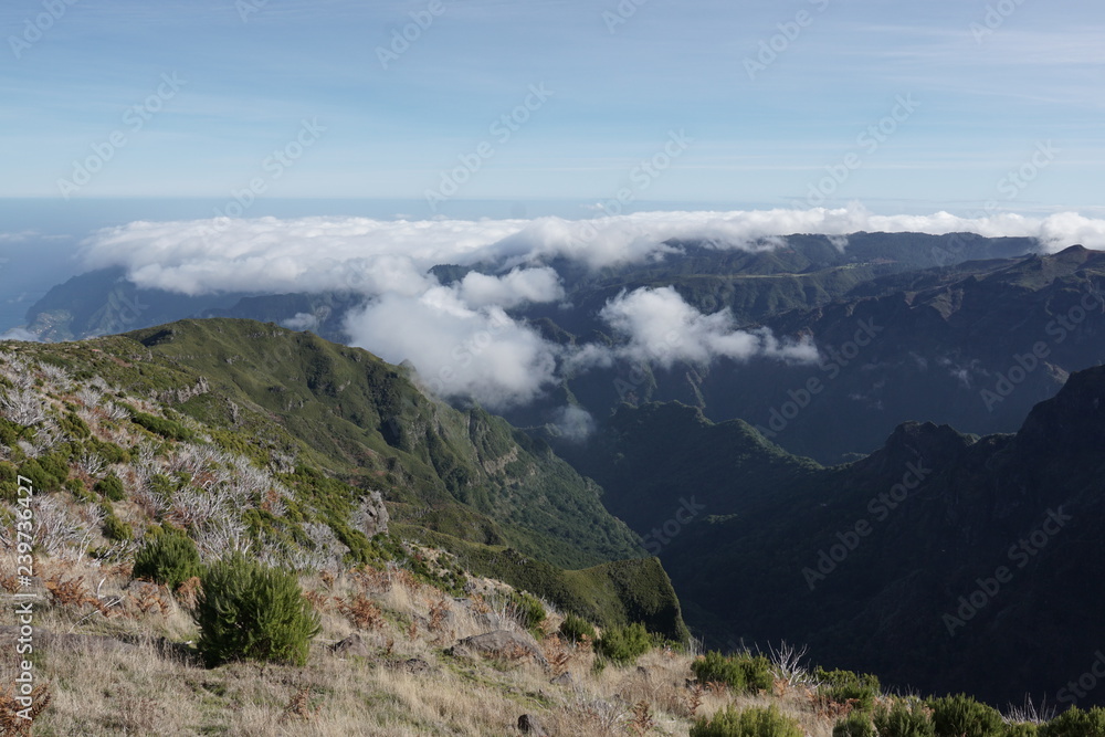 Pico Ruivo Madeira Portugal Pico Ruivo Madeira Portugal