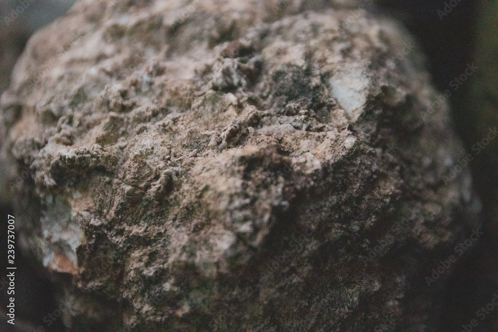 Rocky Surface Rocky Surface