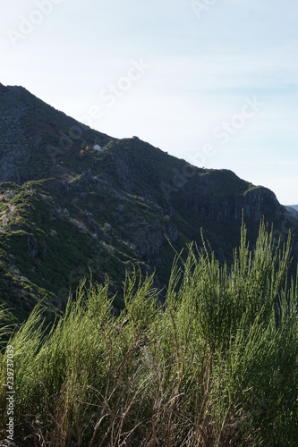 Obraz na płótnie Pico Ruivo Madeira Portugal w salonie