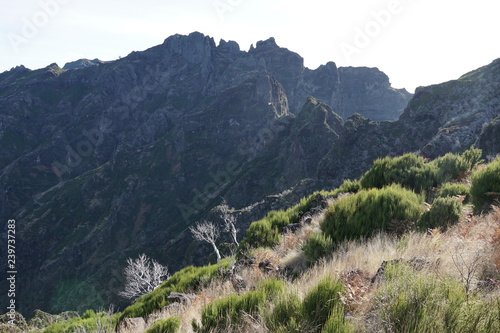 Obraz na płótnie Pico Ruivo Madeira Portugal w salonie