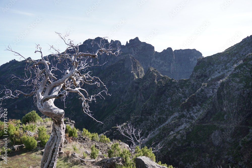 Pico Ruivo Madeira Portugal