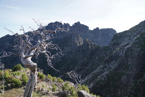 Obraz na płótnie Pico Ruivo Madeira Portugal w salonie