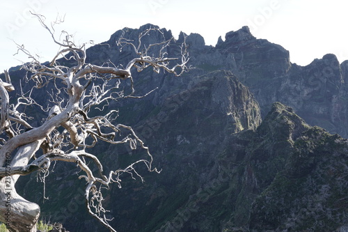 Pico Ruivo Madeira Portugal
