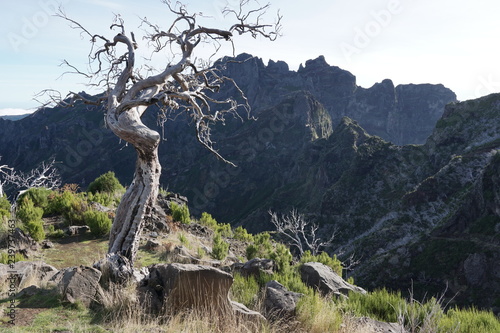 Obraz na płótnie Pico Ruivo Madeira Portugal w salonie