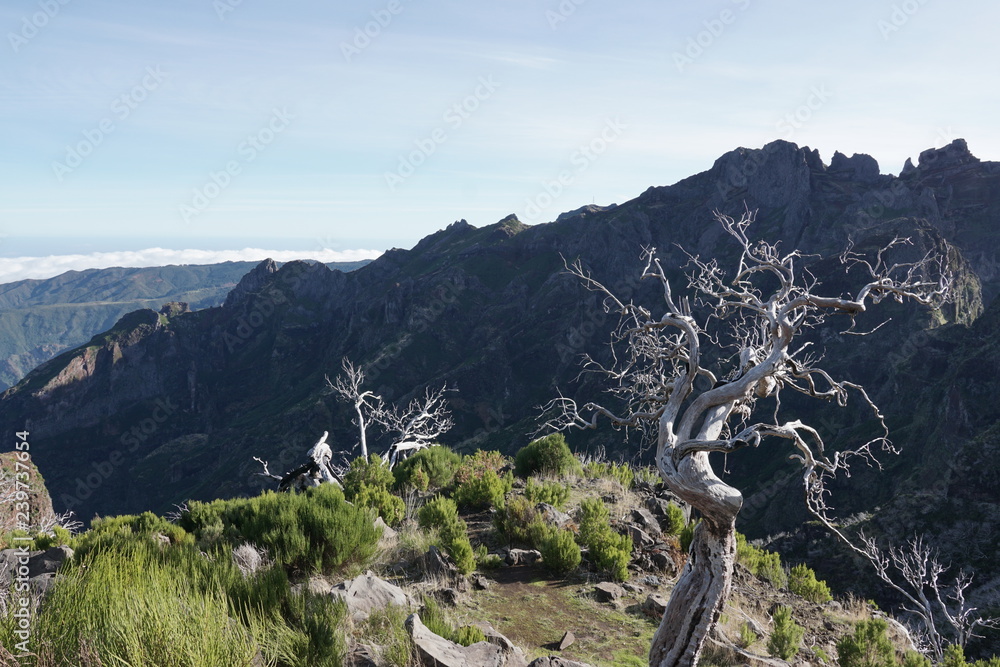 Pico Ruivo Madeira Portugal