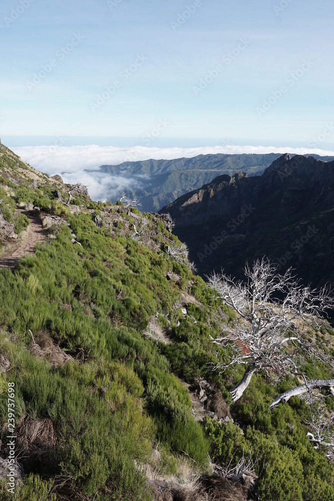 Pico Ruivo Madeira Portugal