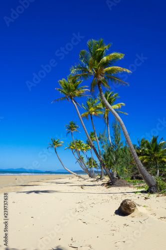 Mission Beach
