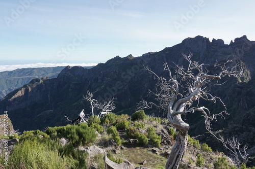 Obraz na płótnie Pico Ruivo Madeira Portugal w salonie